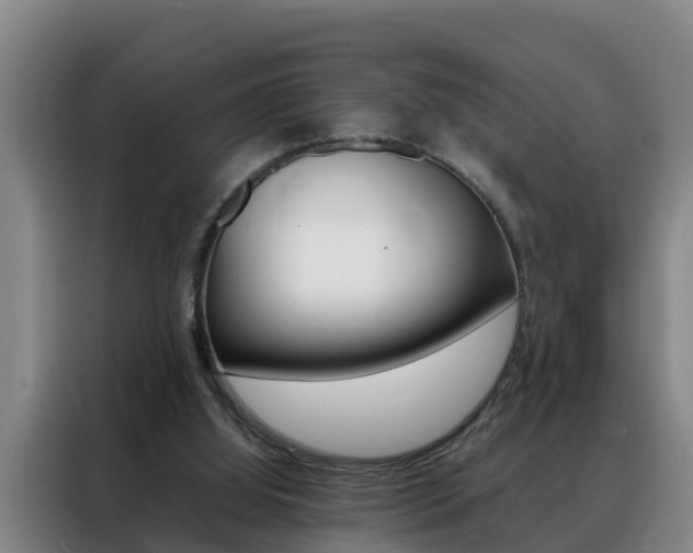 X0000088400060200705220830