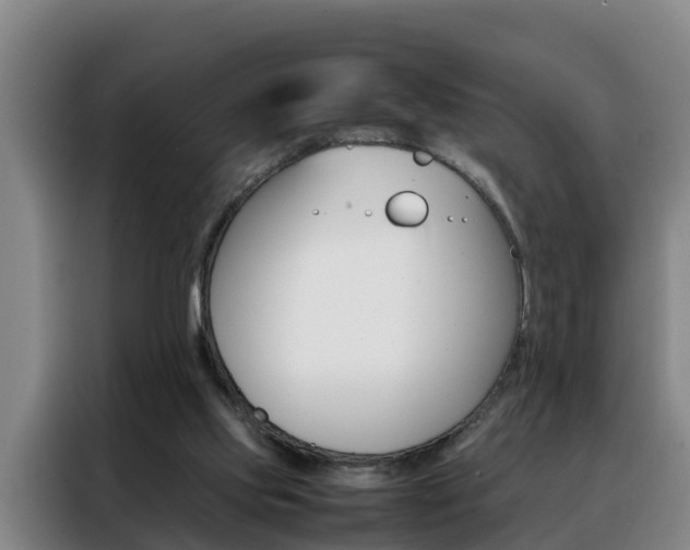 X0000088400061200705220830