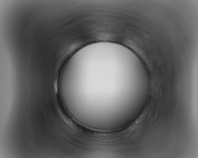 X0000088400062200705220830