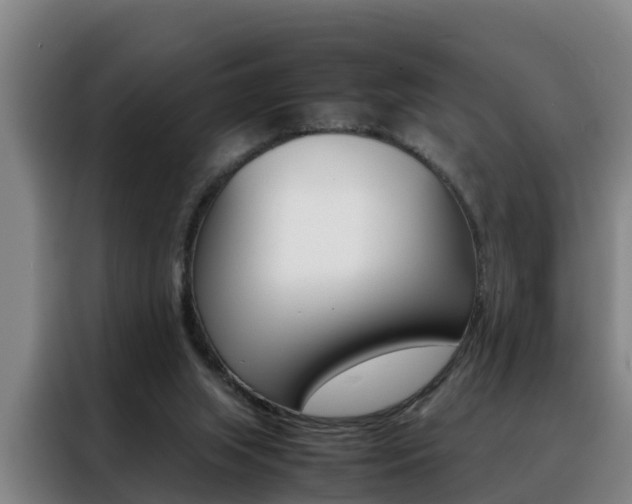 X0000088400063200705220830