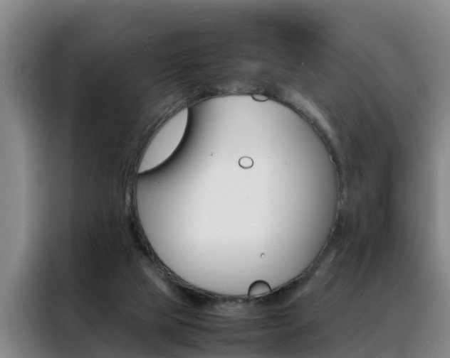 X0000088400065200705220830