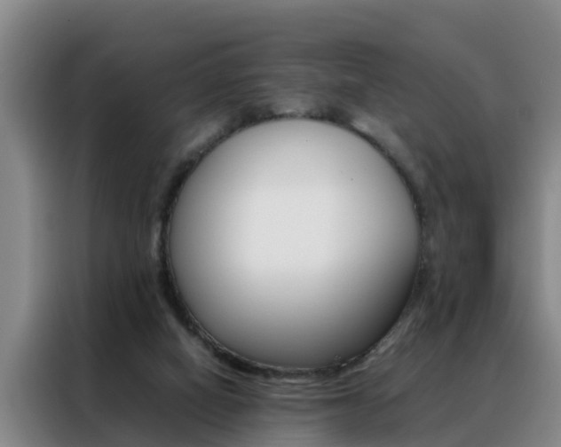 X0000088400066200705220830