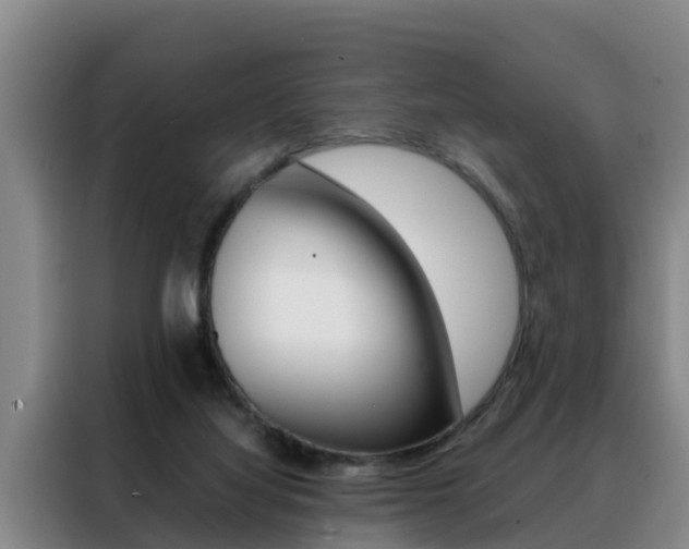 X0000088400068200705220830