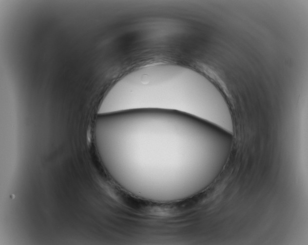 X0000088400069200705220830