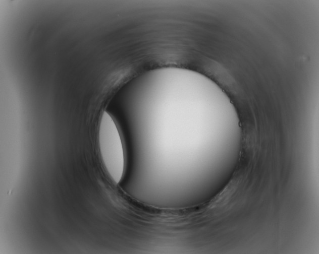 X0000088400070200705220830