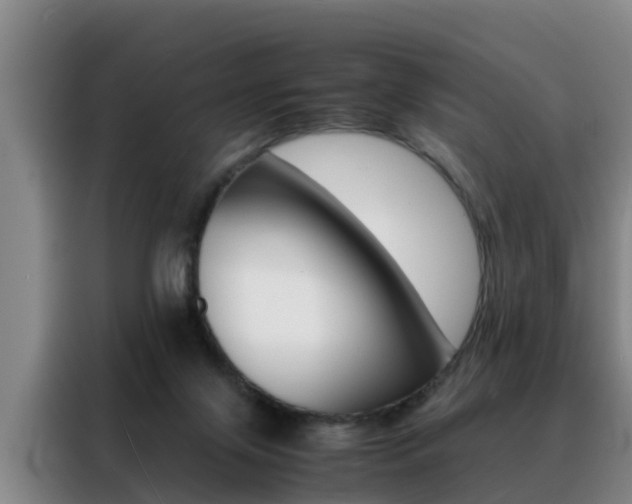 X0000088400071200705220830