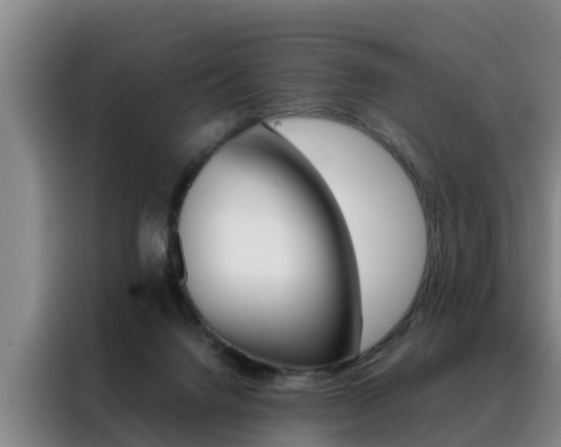 X0000088400072200705220830