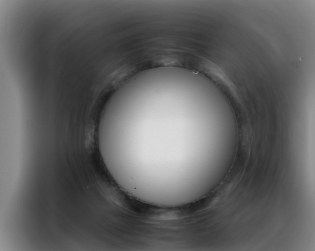 X0000088400073200705220830