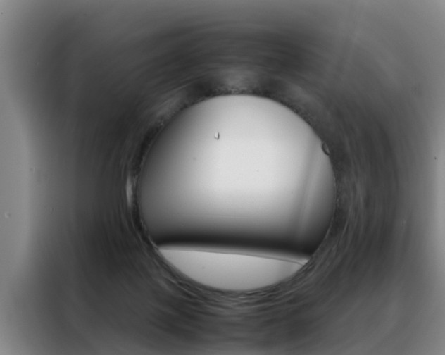 X0000088400075200705220830