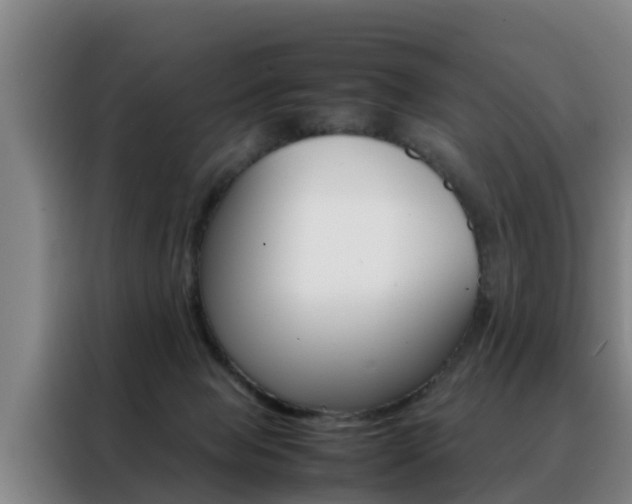 X0000088400077200705220830