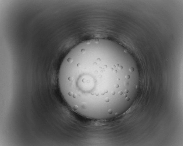 X0000088400078200705220830