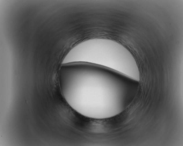 X0000088400079200705220830