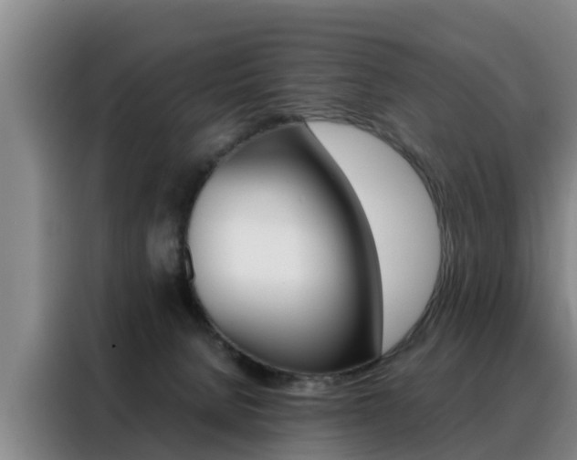 X0000088400080200705220830