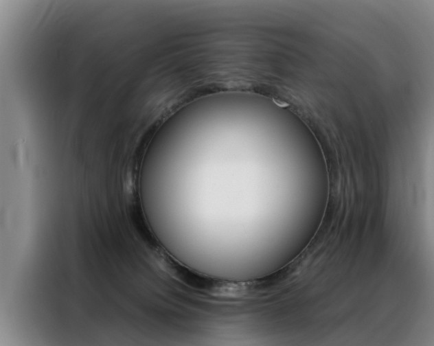 X0000088400084200705220830