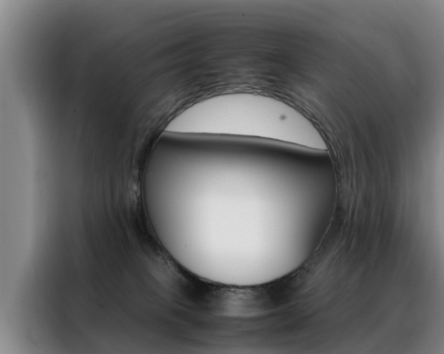 X0000088400085200705220830