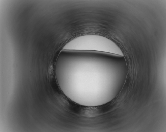 X0000088400087200705220830