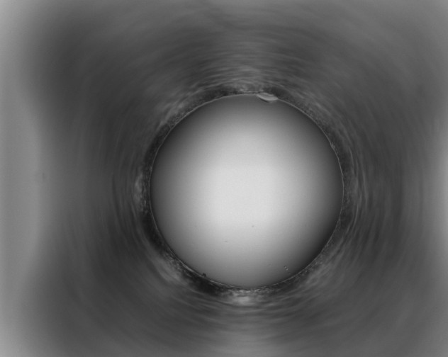 X0000088400088200705220830