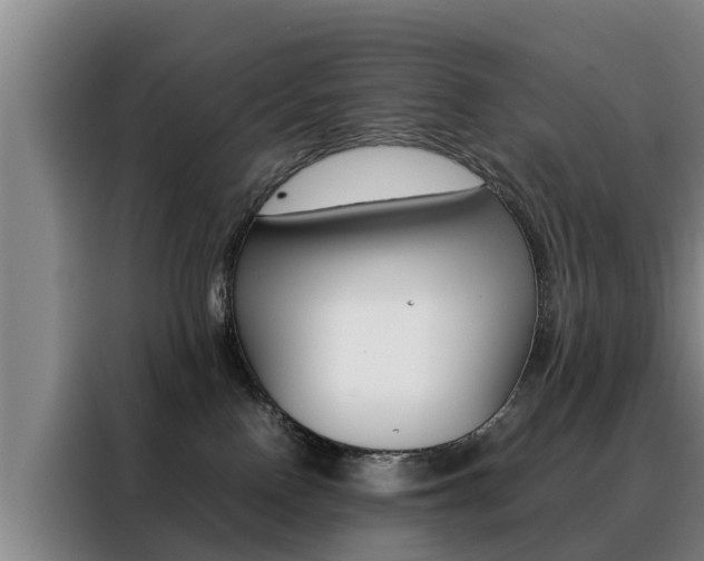 X0000088400090200705220830