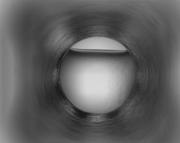 X0000088400093200705220830
