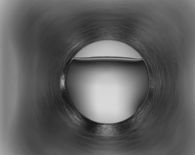 X0000088400095200705220830