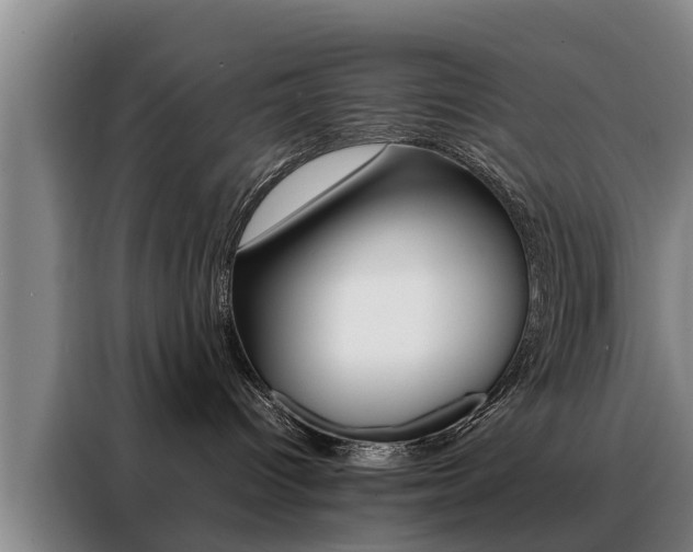 X0000088400096200705220830