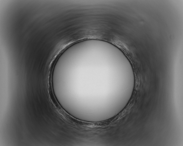 X0000088400098200705220830