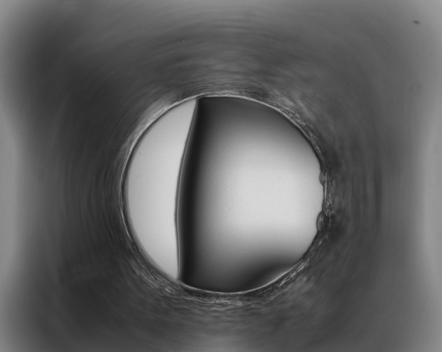 X0000088400099200705220830