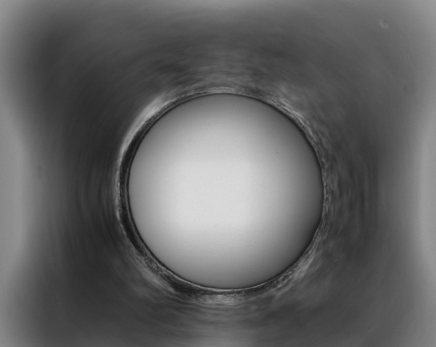 X0000088400102200705220829