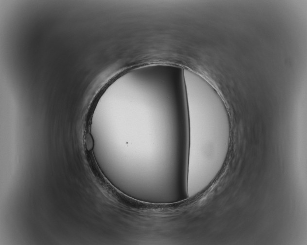 X0000088400103200705220829