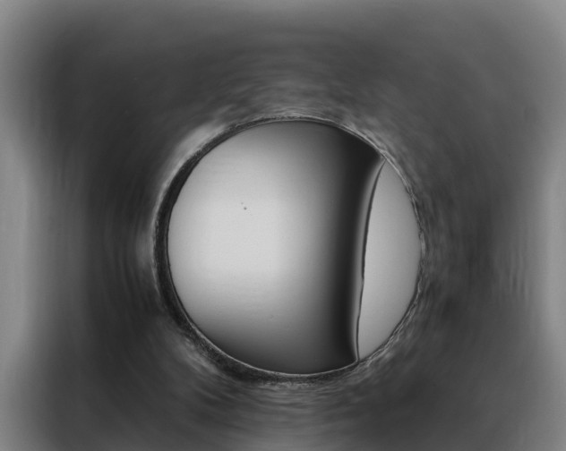 X0000088400104200705220829