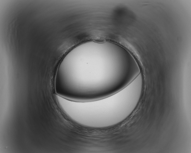 X0000088400105200705220829