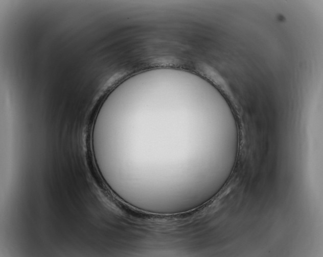X0000088400106200705220829