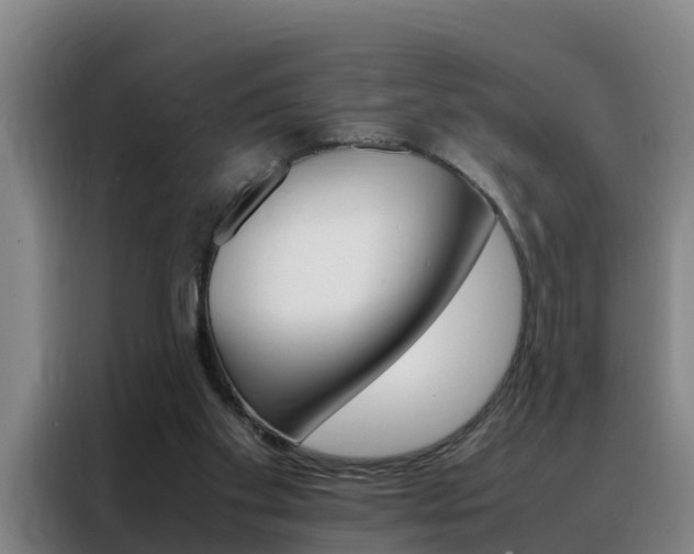 X0000088400109200705220829