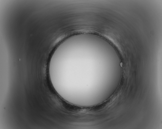 X0000088400111200705220829