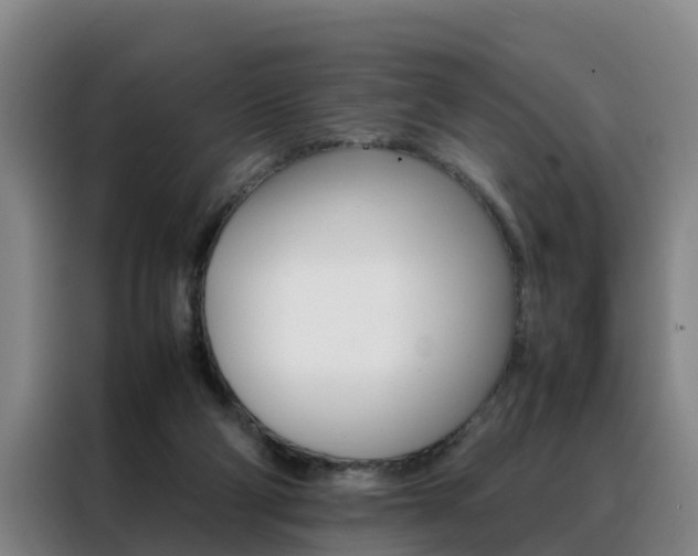 X0000088400114200705220829