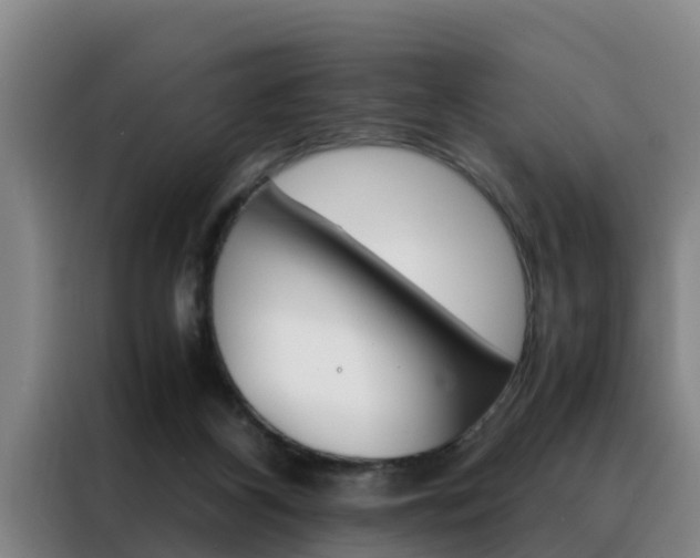 X0000088400116200705220829