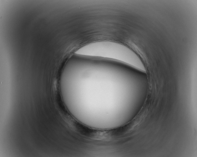 X0000088400117200705220829