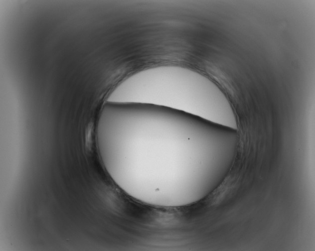 X0000088400118200705220829