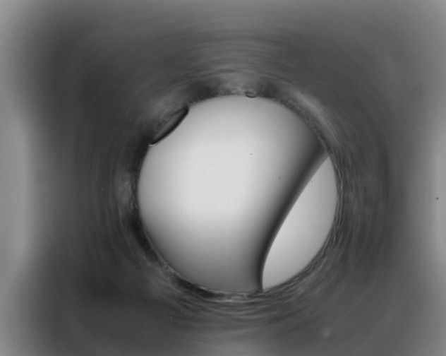 X0000088400121200705220829