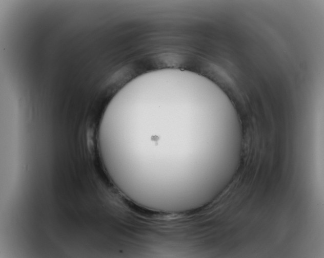 X0000088400122200705220829