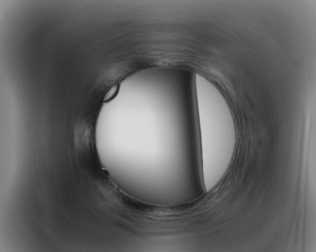X0000088400123200705220829