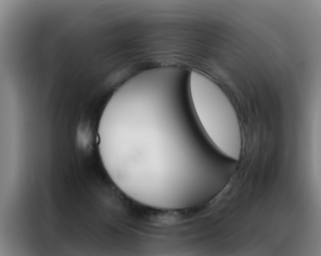 X0000088400124200705220829