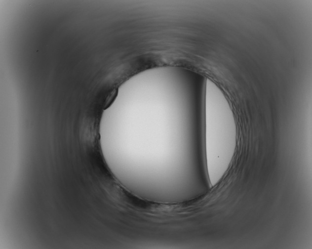 X0000088400129200705220829