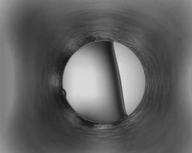 X0000088400135200705220829