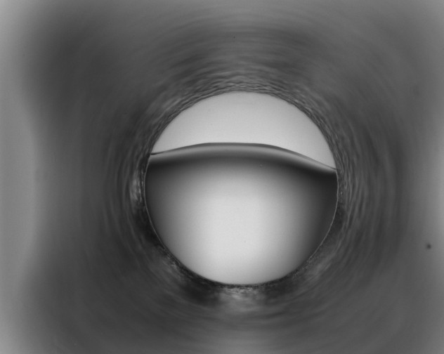 X0000088400137200705220829