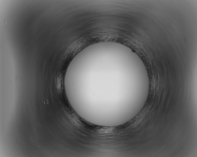 X0000088400138200705220829