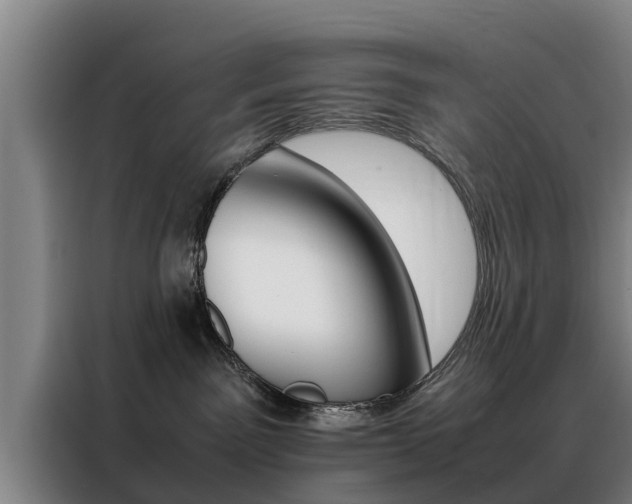 X0000088400141200705220829