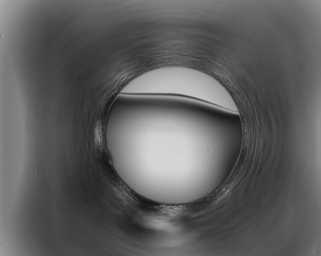 X0000088400143200705220829