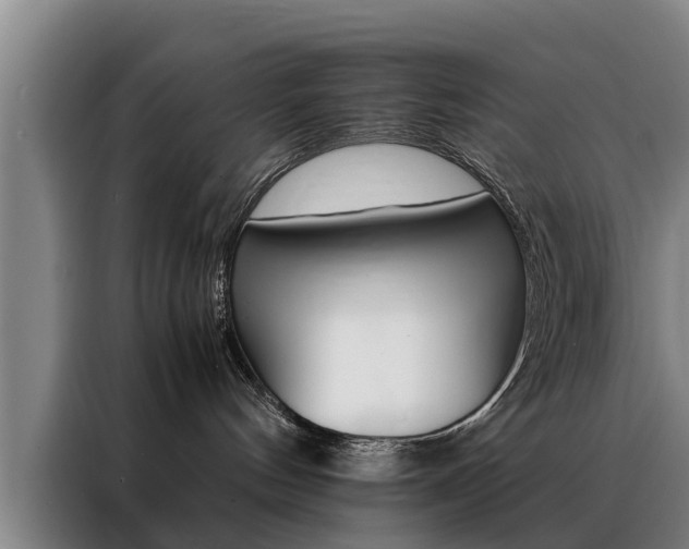 X0000088400144200705220829