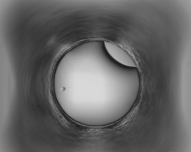 X0000088400145200705220828